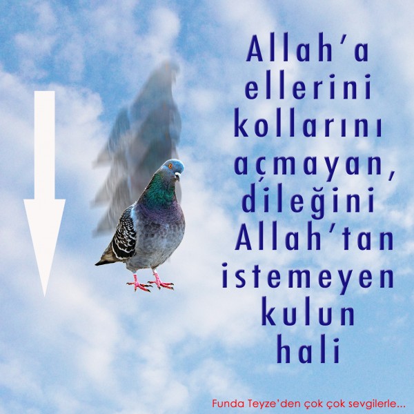 Funda-Teyze-gunun-resmi-1121
