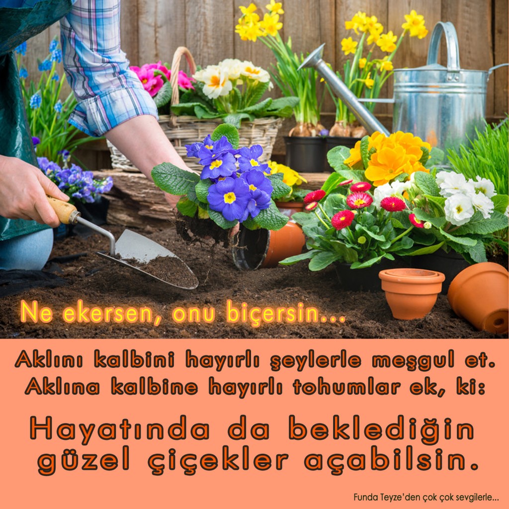 Funda-Teyze-gunun-resmi-115