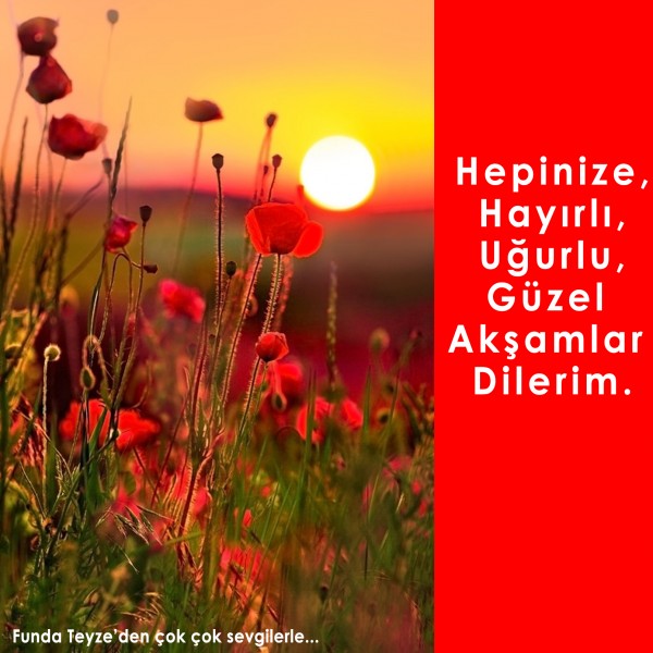 Funda-Teyze-gunun-resmi-133