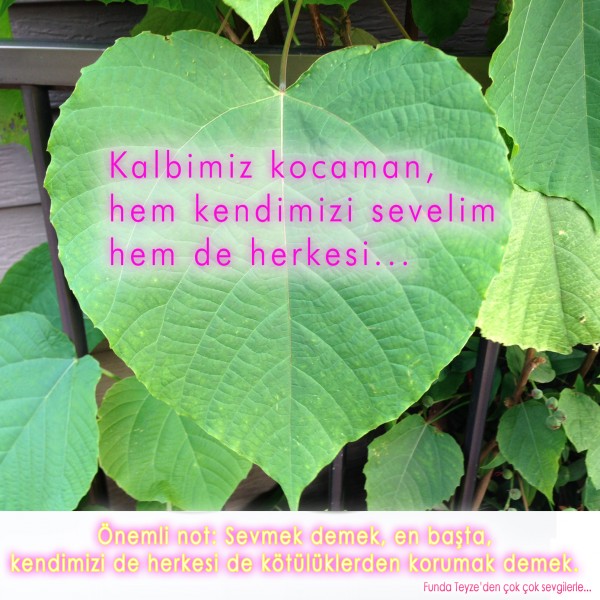 Funda-Teyze-gunun-resmi-56