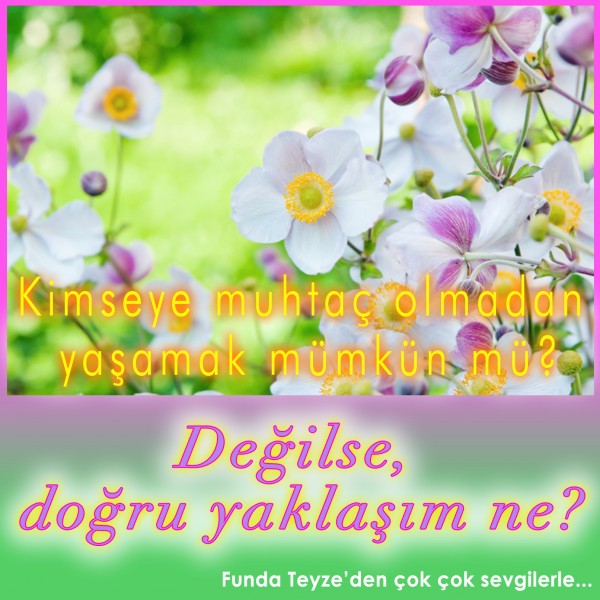 Funda-Teyze-gunun-resmi-1197