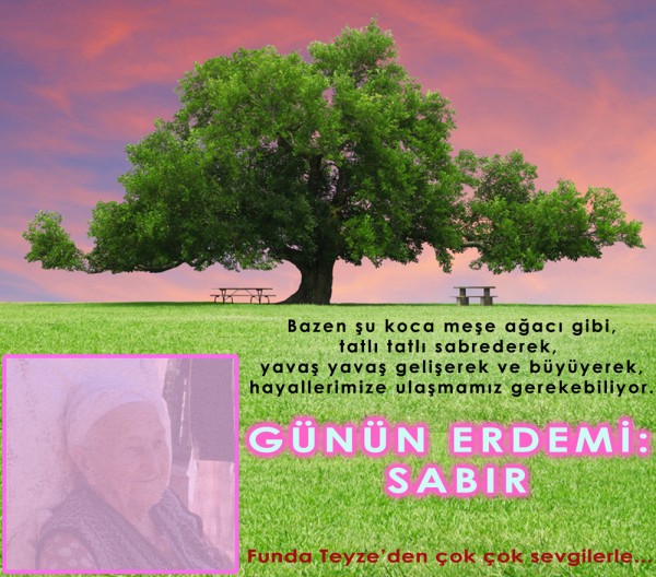 Funda-Teyze-gunun-resmi-1241